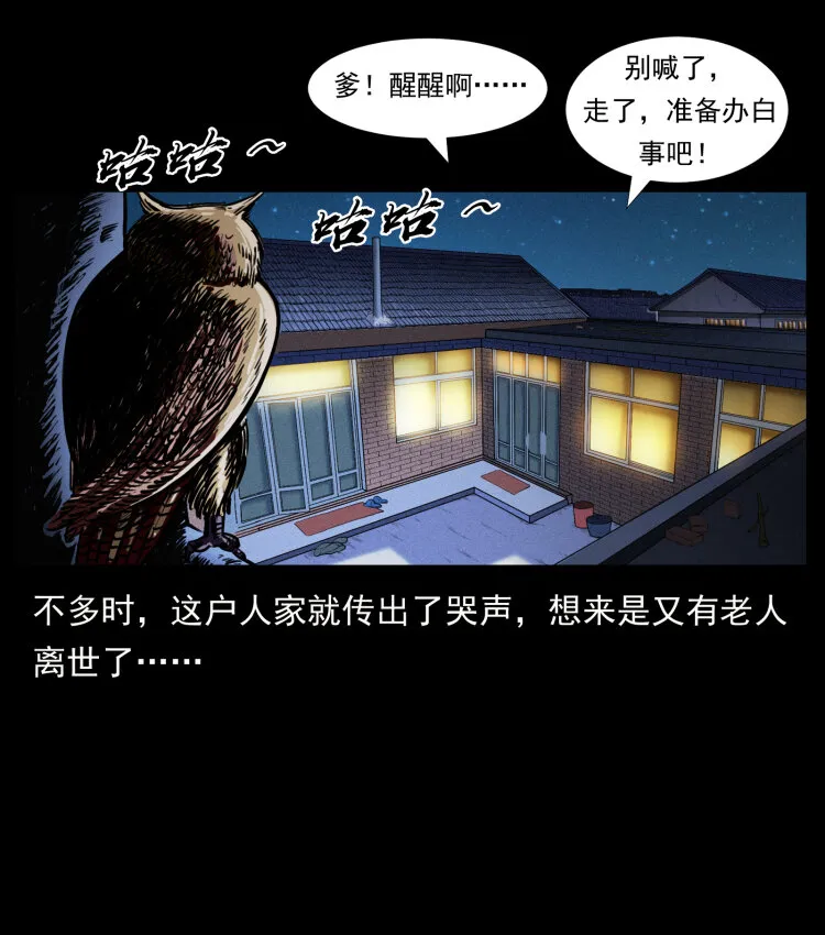 412 迷雾渐开 第50页