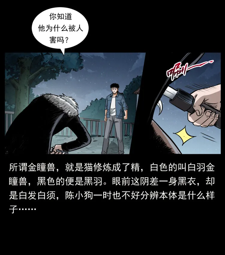 416 七爷的信徒 第44页