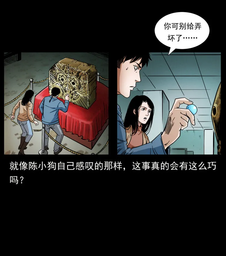 419 马先生的博物馆 第56页