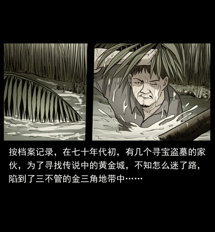 419 马先生的博物馆 第71页