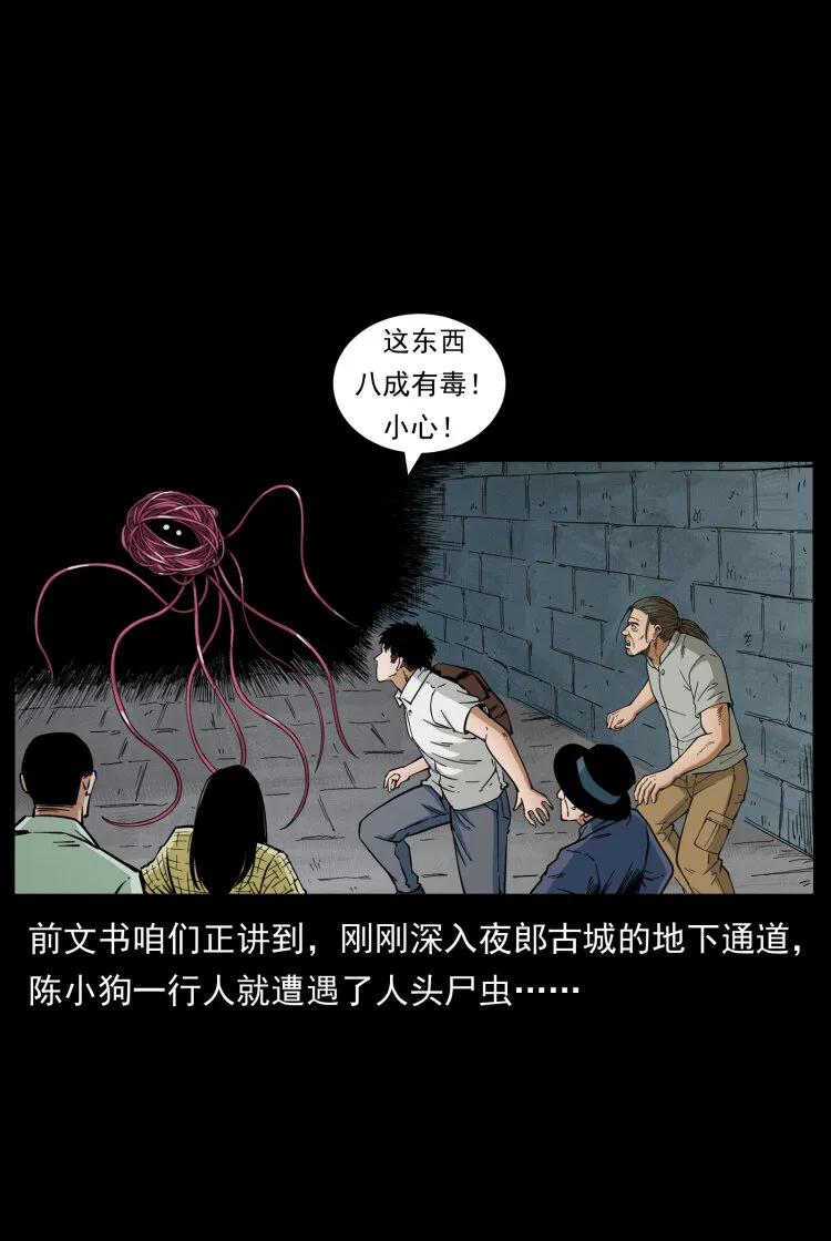 437 墓道凶灵 第2页
