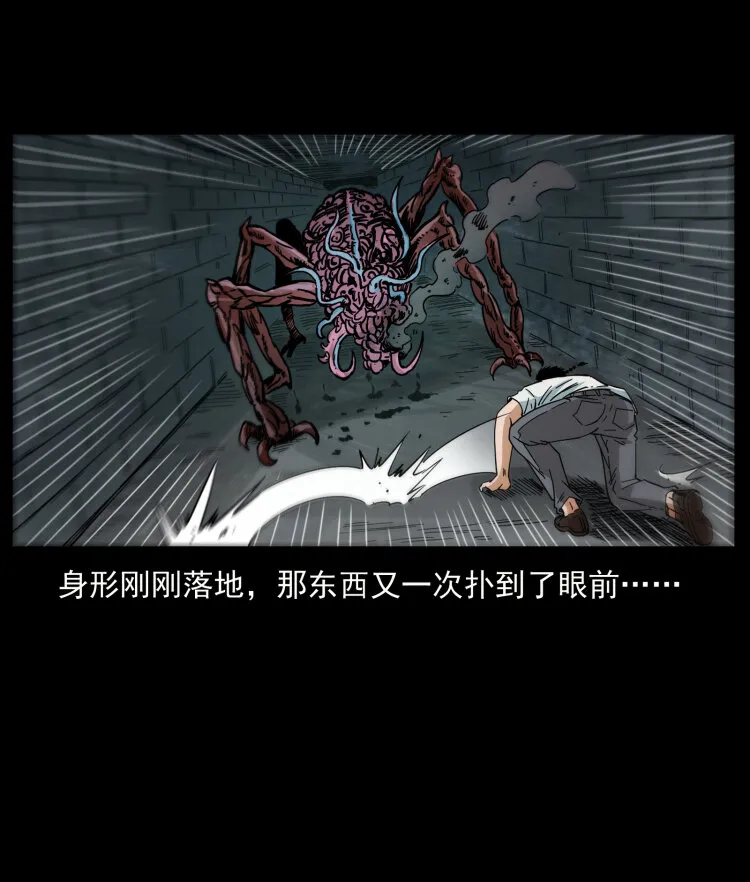 437 墓道凶灵 第75页
