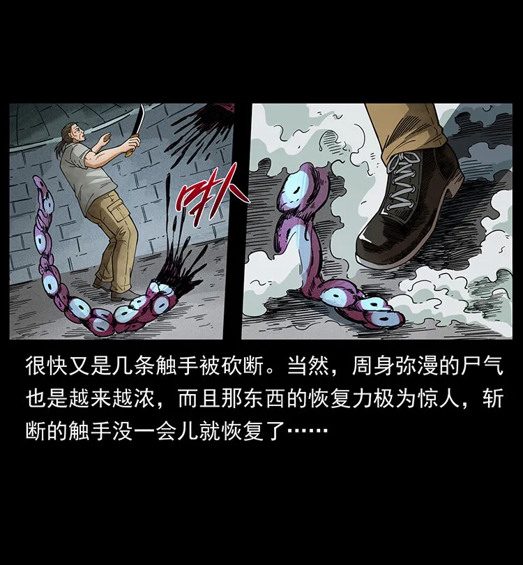 438 变异尸毒 第82页