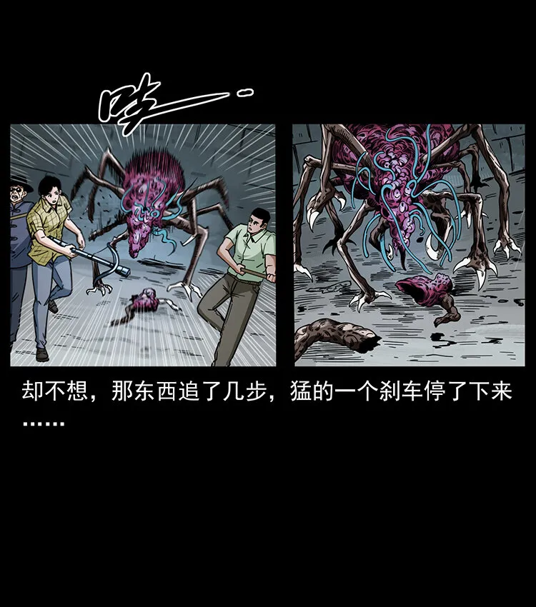 439 羽人通道 第13页