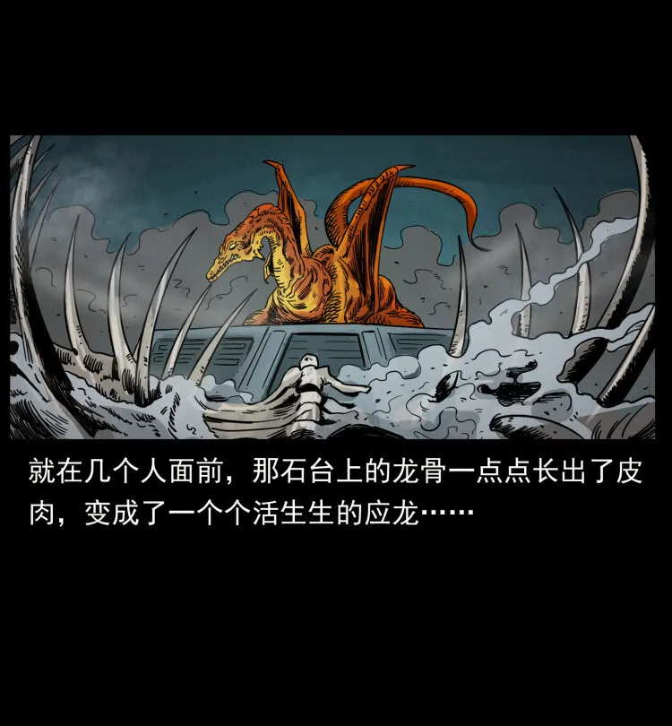 440 应天龙 第22页