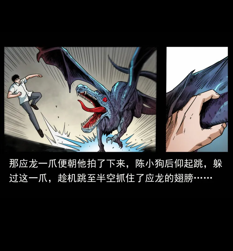 440 应天龙 第30页