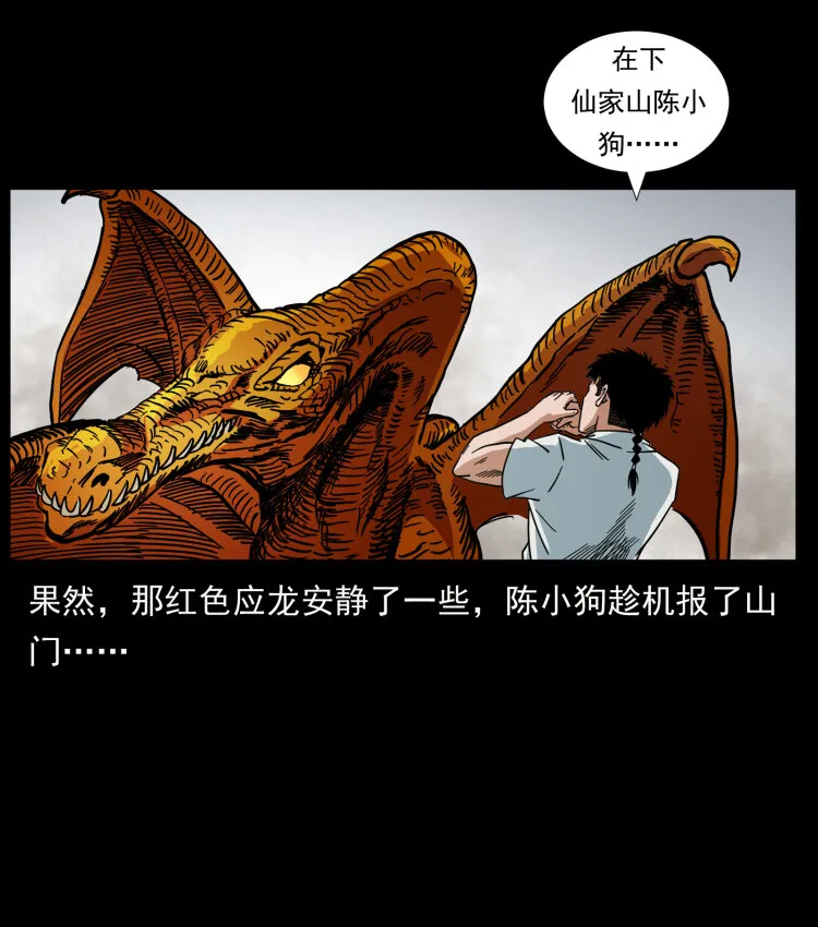 440 应天龙 第47页