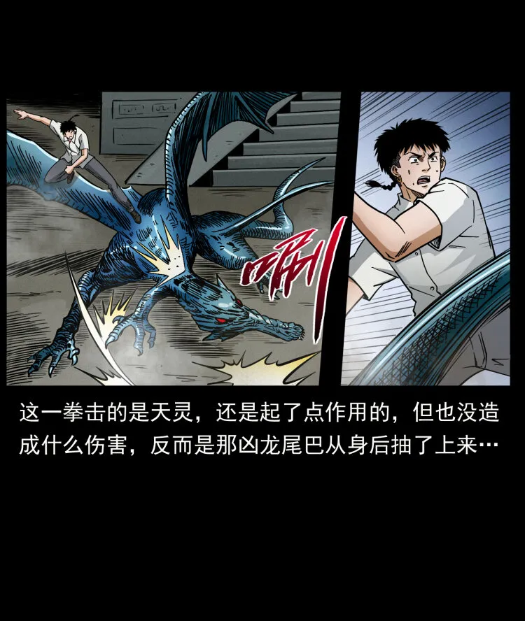 440 应天龙 第55页
