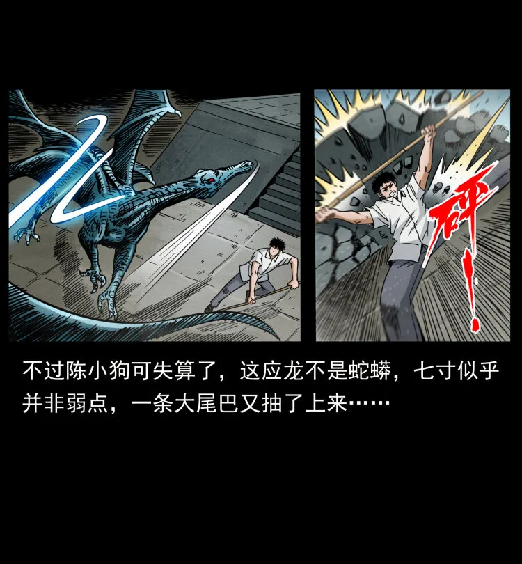440 应天龙 第60页