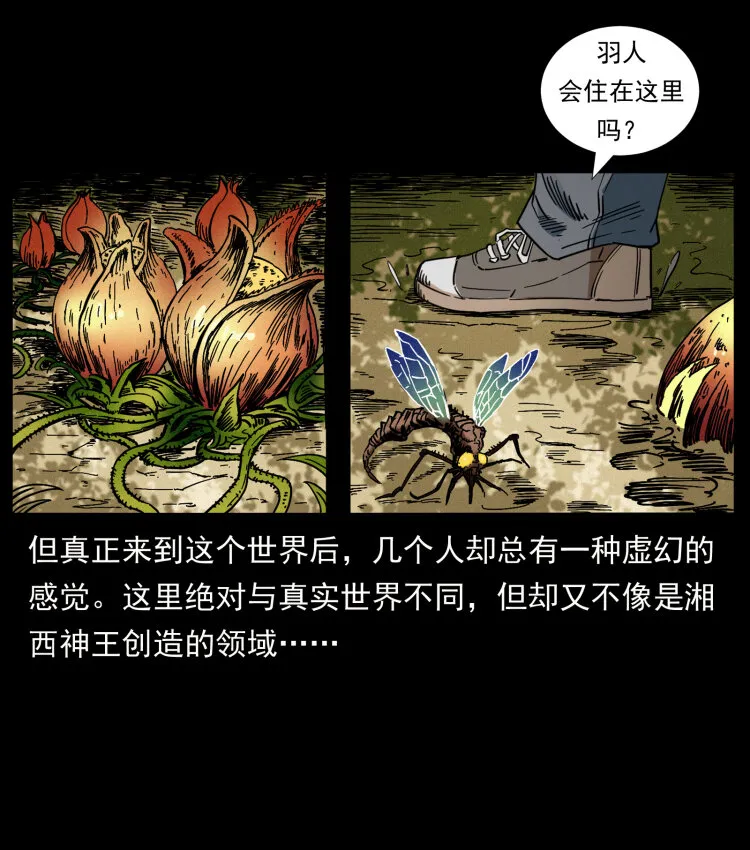 441 羽人之境 第3页