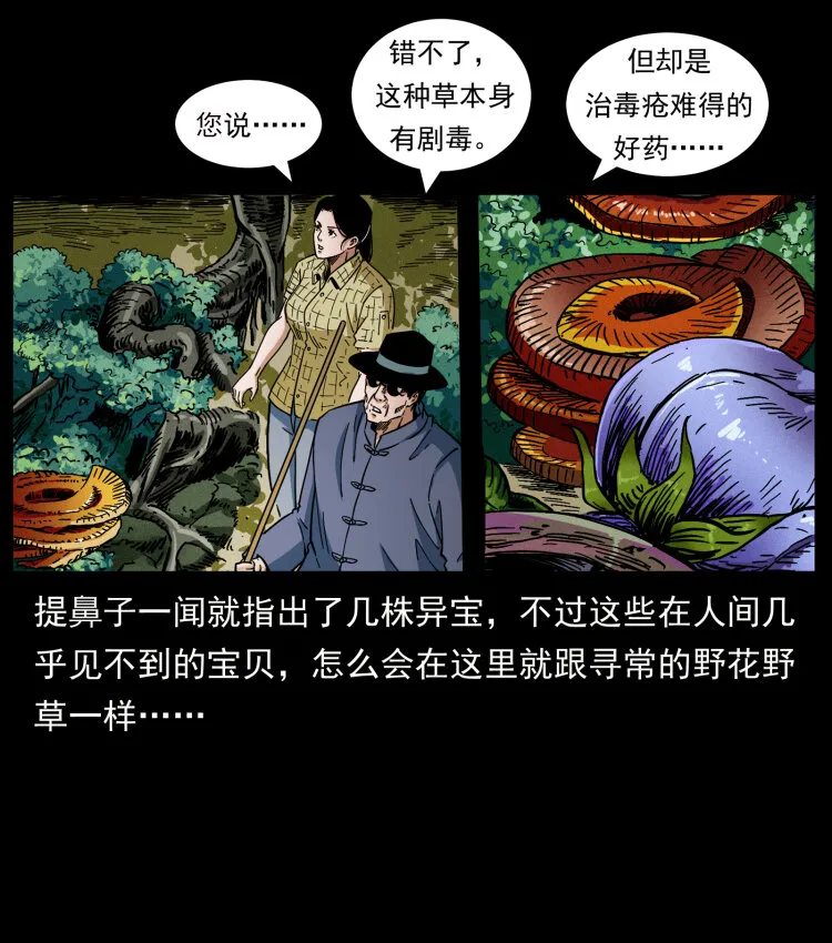 441 羽人之境 第11页