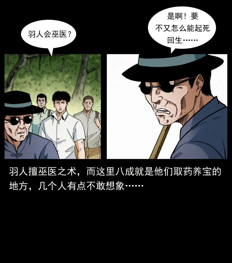 441 羽人之境 第13页