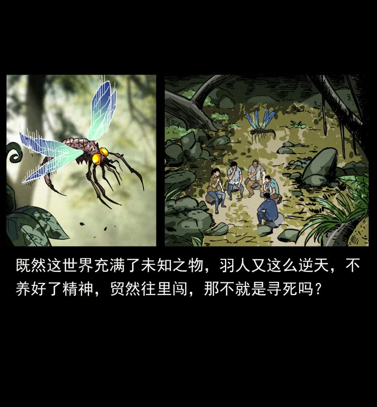 441 羽人之境 第16页