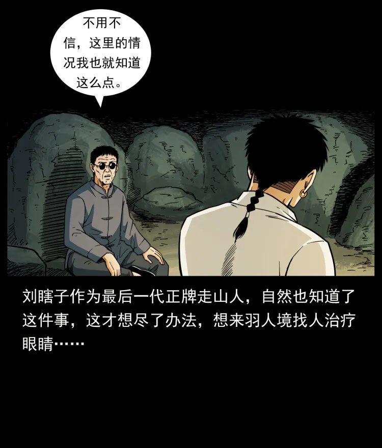 441 羽人之境 第29页