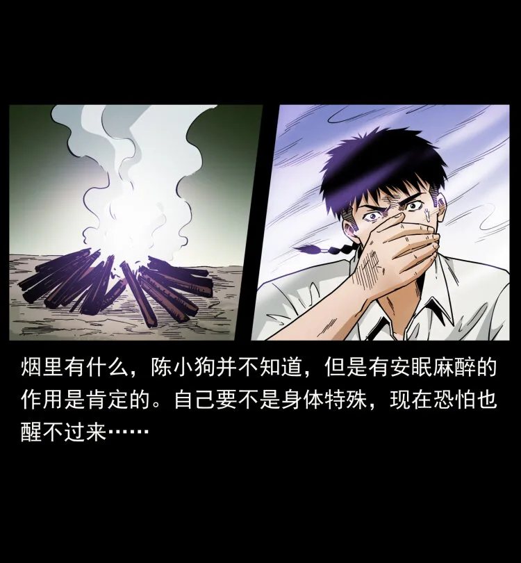 441 羽人之境 第44页