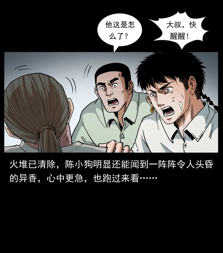 441 羽人之境 第52页