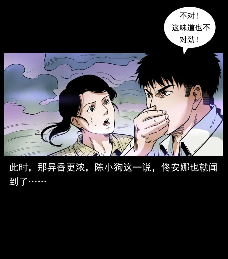 441 羽人之境 第55页