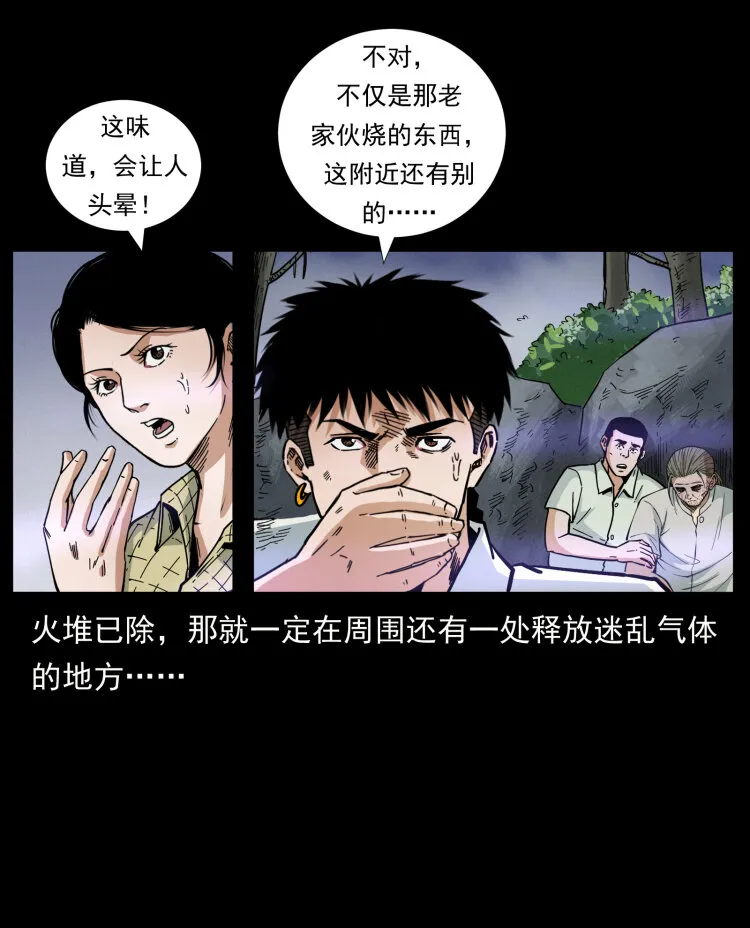 441 羽人之境 第56页