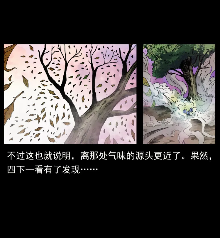 441 羽人之境 第60页