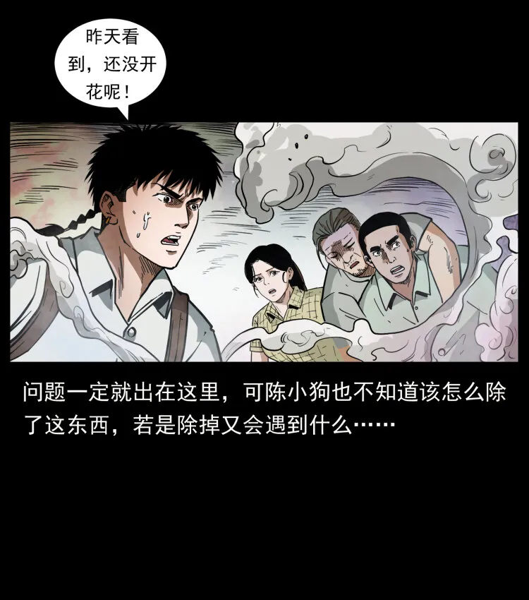 441 羽人之境 第62页