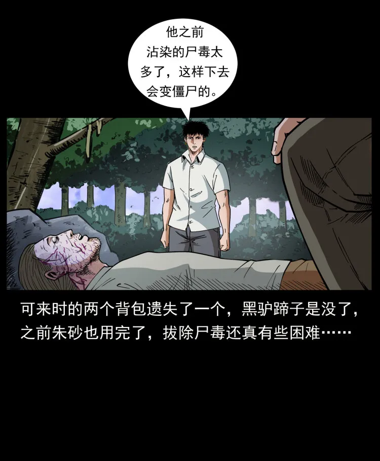 441 羽人之境 第67页