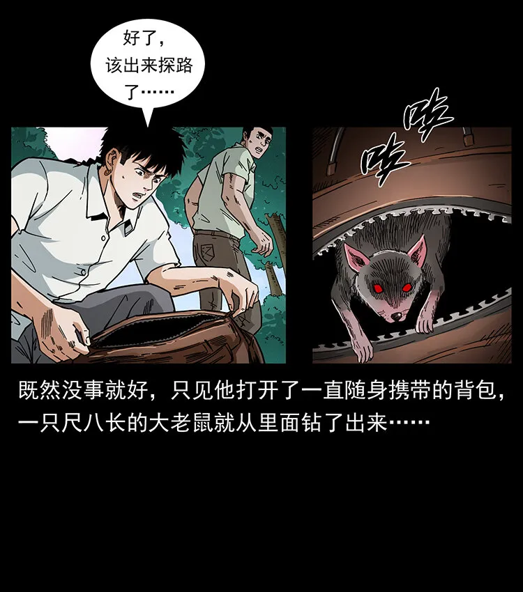 442 羽人现身 第16页