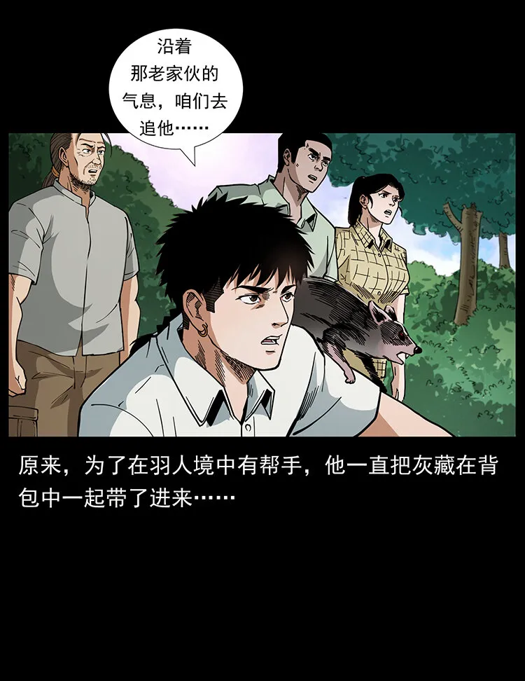 442 羽人现身 第17页