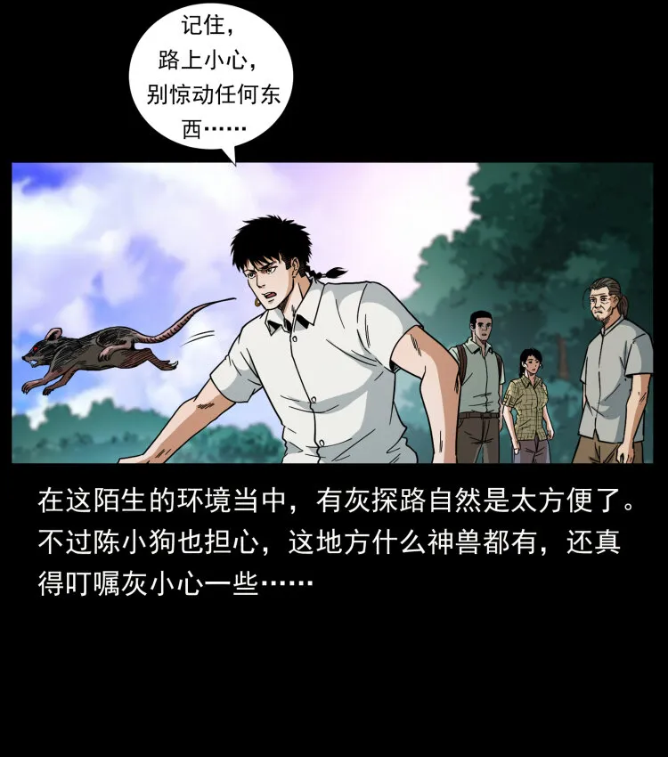 442 羽人现身 第18页