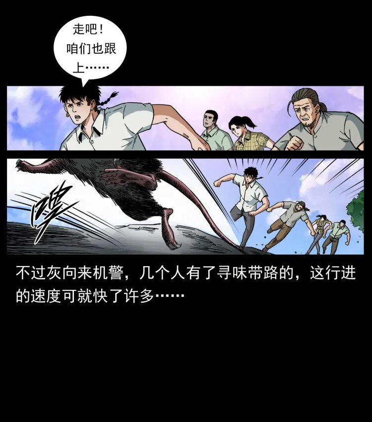 442 羽人现身 第19页