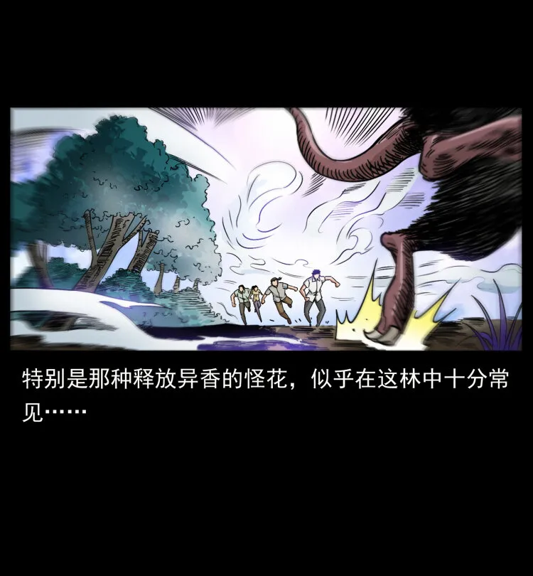 442 羽人现身 第21页