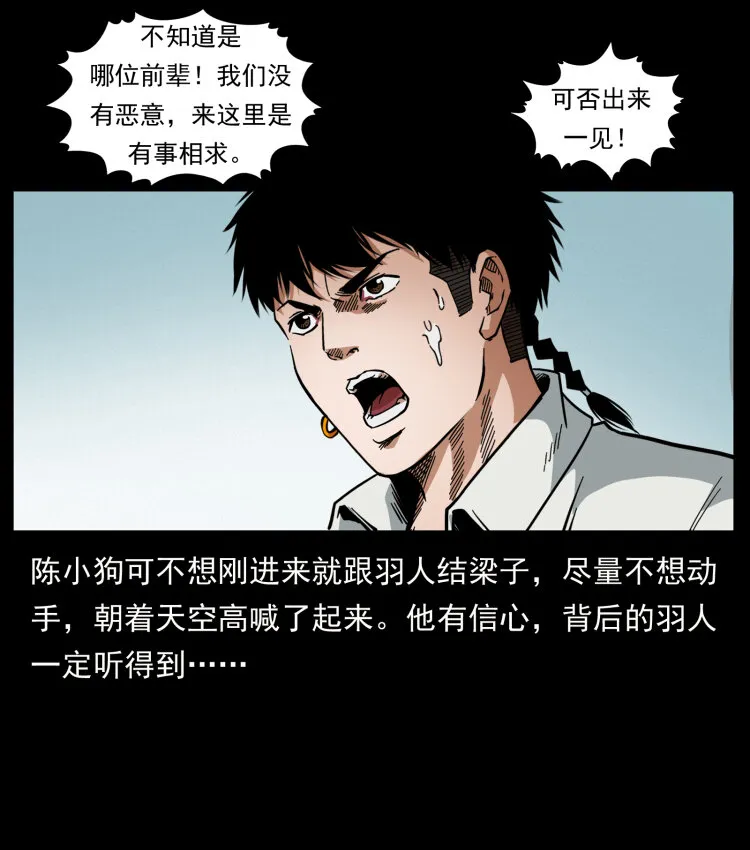 442 羽人现身 第34页