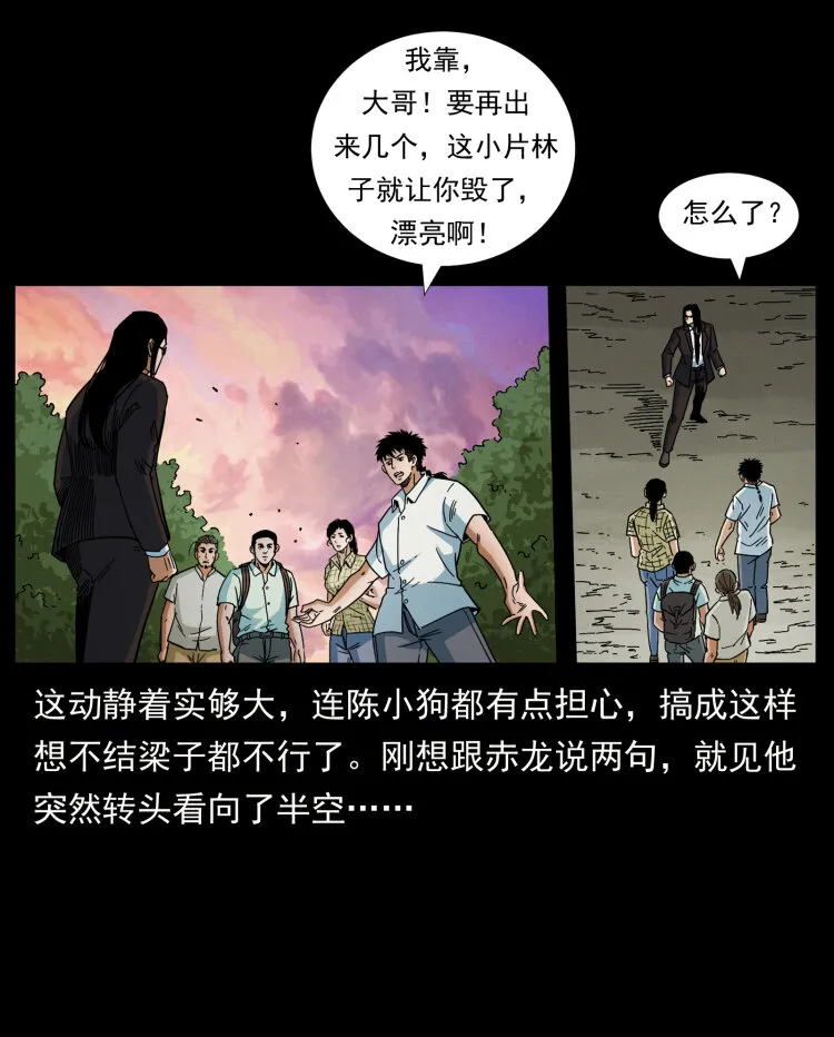 442 羽人现身 第78页