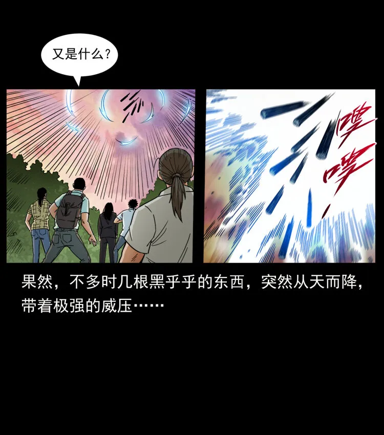442 羽人现身 第79页