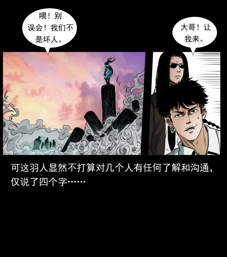 442 羽人现身 第85页