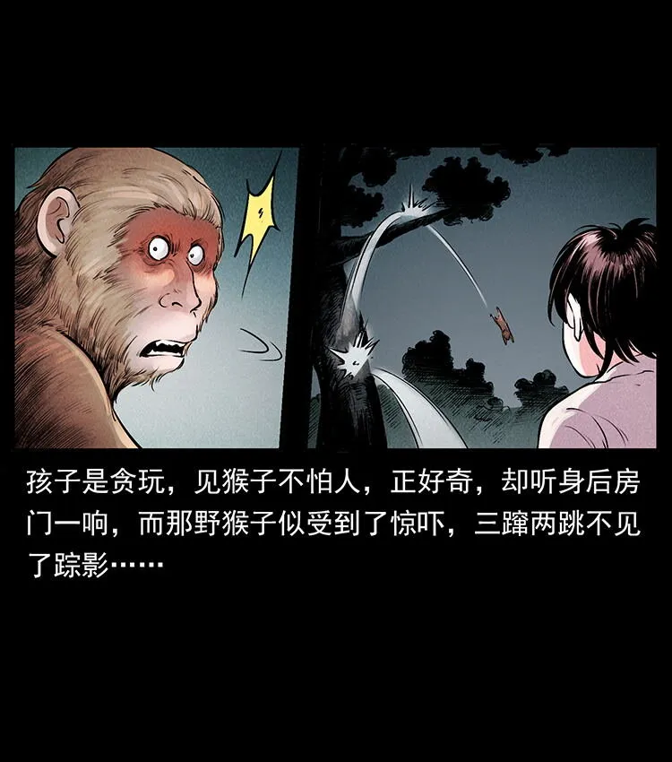 外传 洛生传1 猎妖 第34页