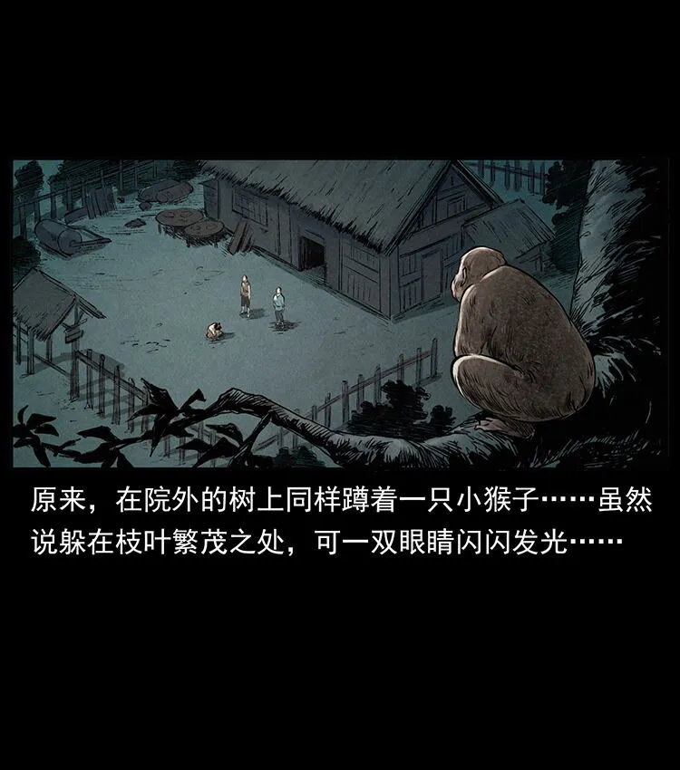 外传 洛生传1 猎妖 第43页