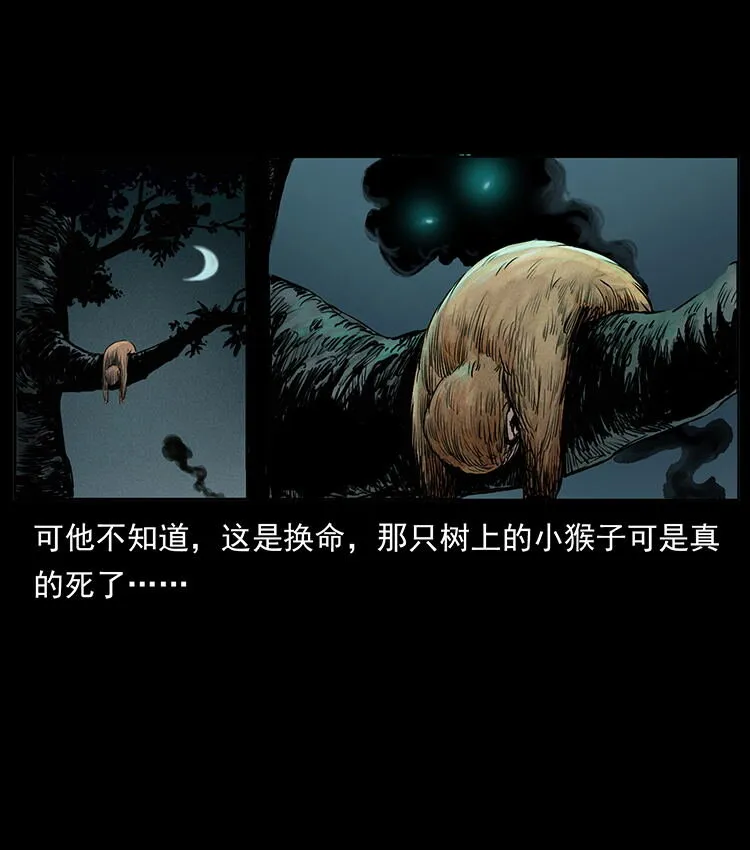 外传 洛生传1 猎妖 第48页