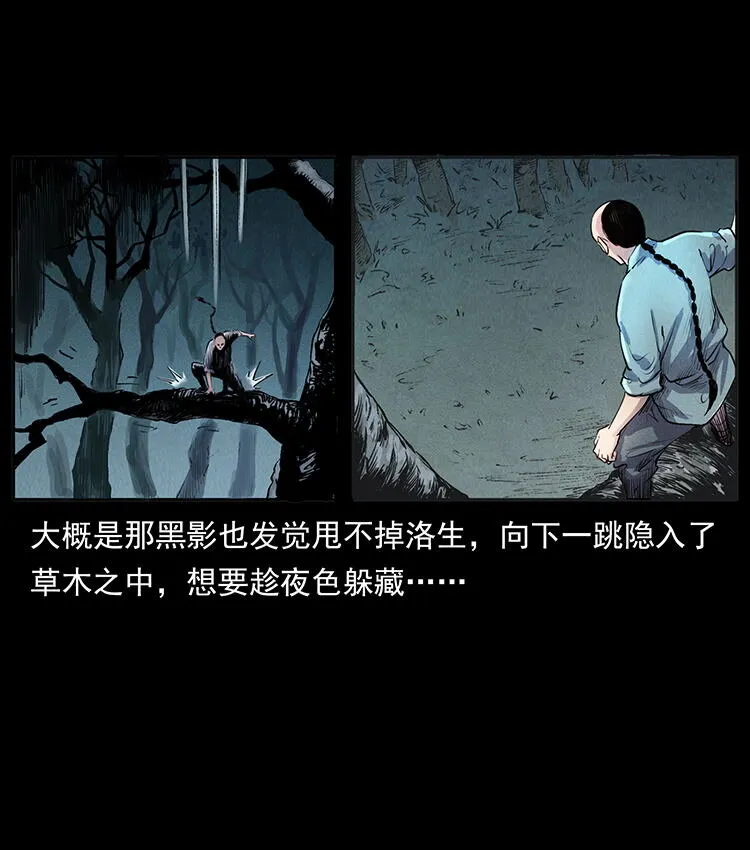 外传 洛生传1 猎妖 第66页