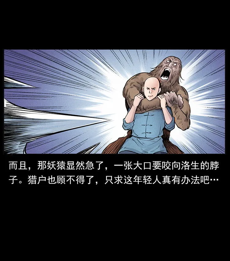 外传 洛生传1 猎妖 第81页