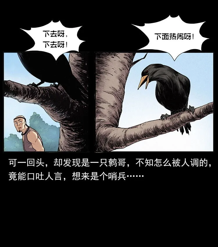 外传 洛生传2 土匪，土匪 第19页