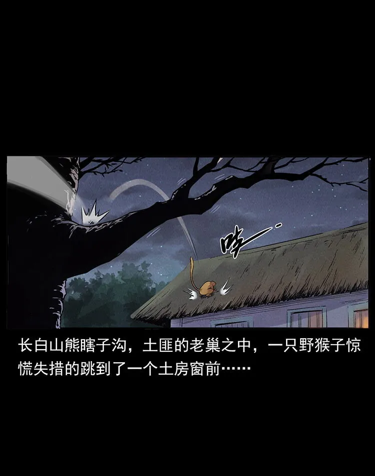 外传 洛生传3 剿匪 第2页