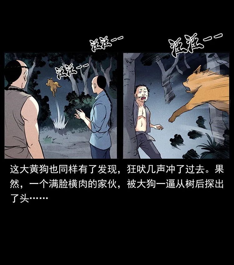 外传 洛生传3 剿匪 第19页