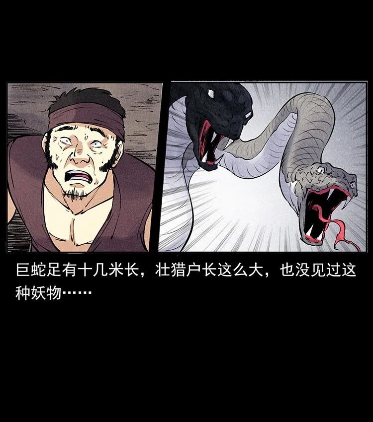外传 洛生传5 引蛇出洞 第51页