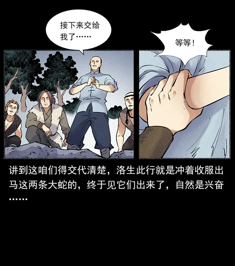 外传 洛生传5 引蛇出洞 第61页