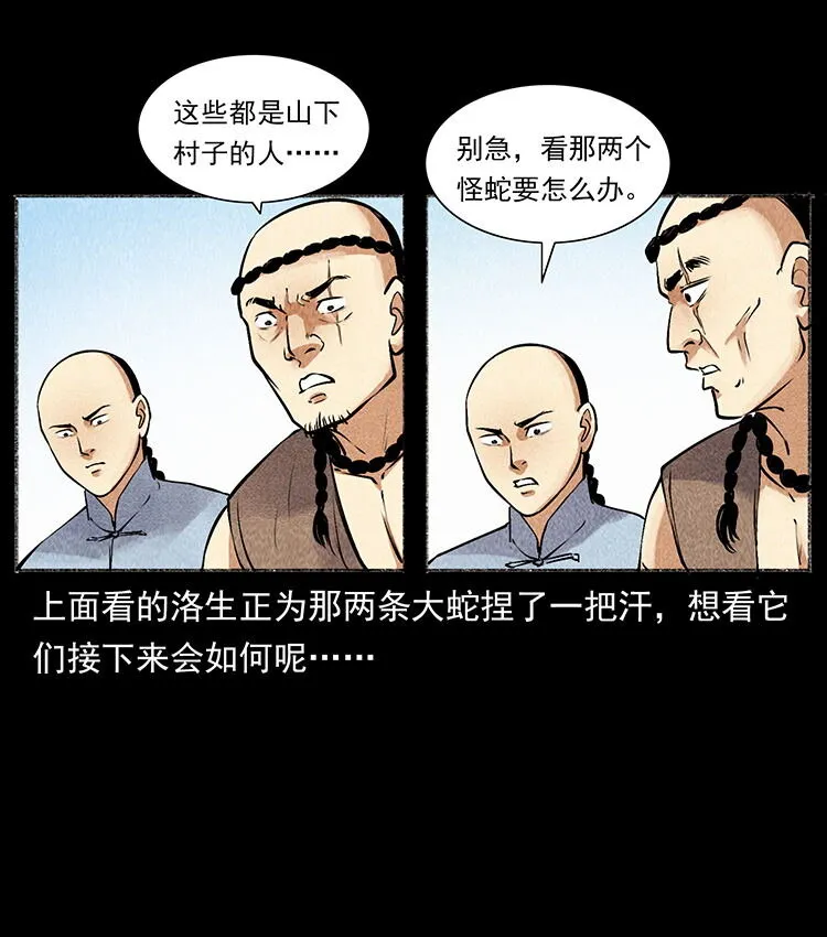 外传 洛生传5 引蛇出洞 第74页