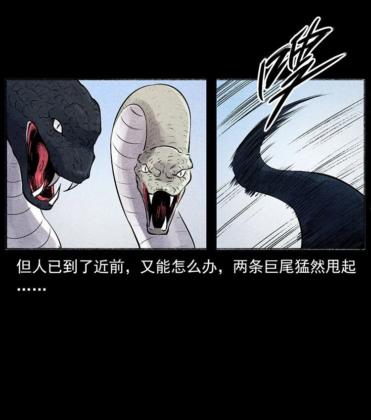 外传 洛生传5 引蛇出洞 第76页