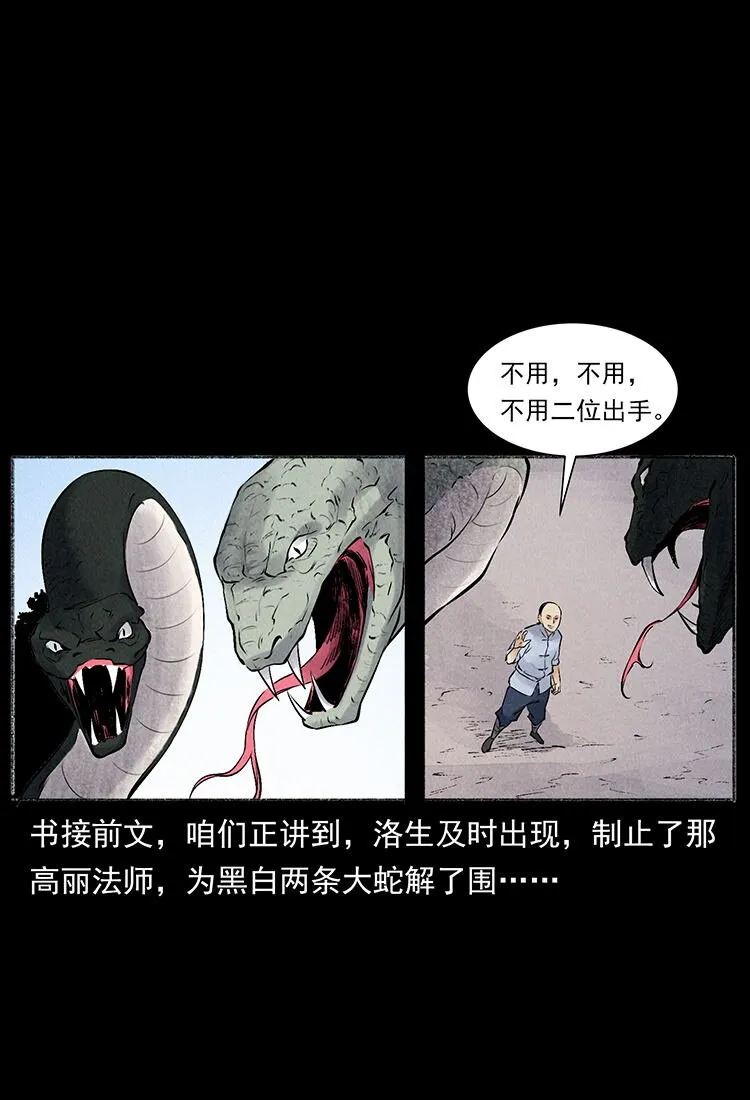 外传 洛生传6 黑萨满 第2页