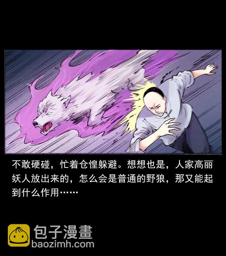 外传 洛生传7 黑白双蛇 第63页