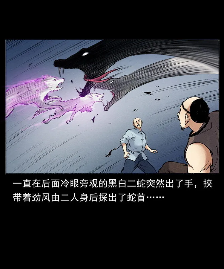 外传 洛生传7 黑白双蛇 第69页
