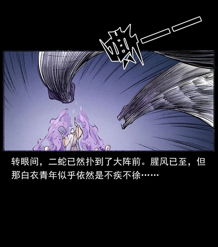 外传 洛生传7 黑白双蛇 第77页